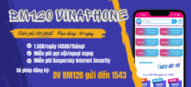 Đăng ký gói cước BM120 Vinaphone miễn phí 45GB, 1530 phút gọi