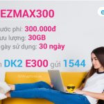 EZMAX300 Vinaphone