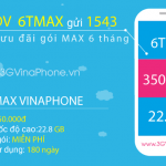 Đăng ký gói cước 6TMAX Vinaphone - Gói MAX Vinaphone trọn gói 6 tháng