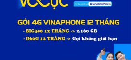 Đăng ký gói 4G Vina 1 năm nhận ưu đãi cực khủng trong 12 tháng