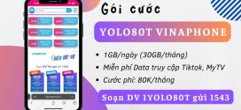 Đăng ký gói YOLO80T Vinaphone có 30GB + Free data Tiktok/MY TV