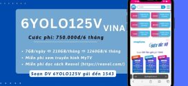 Đăng ký gói cước 6YOLO125V Vinaphone nhận 7GB/ngày (1260GB/6 tháng)